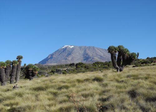 10 Nights Northern Circuit Kilimanjaro Trek