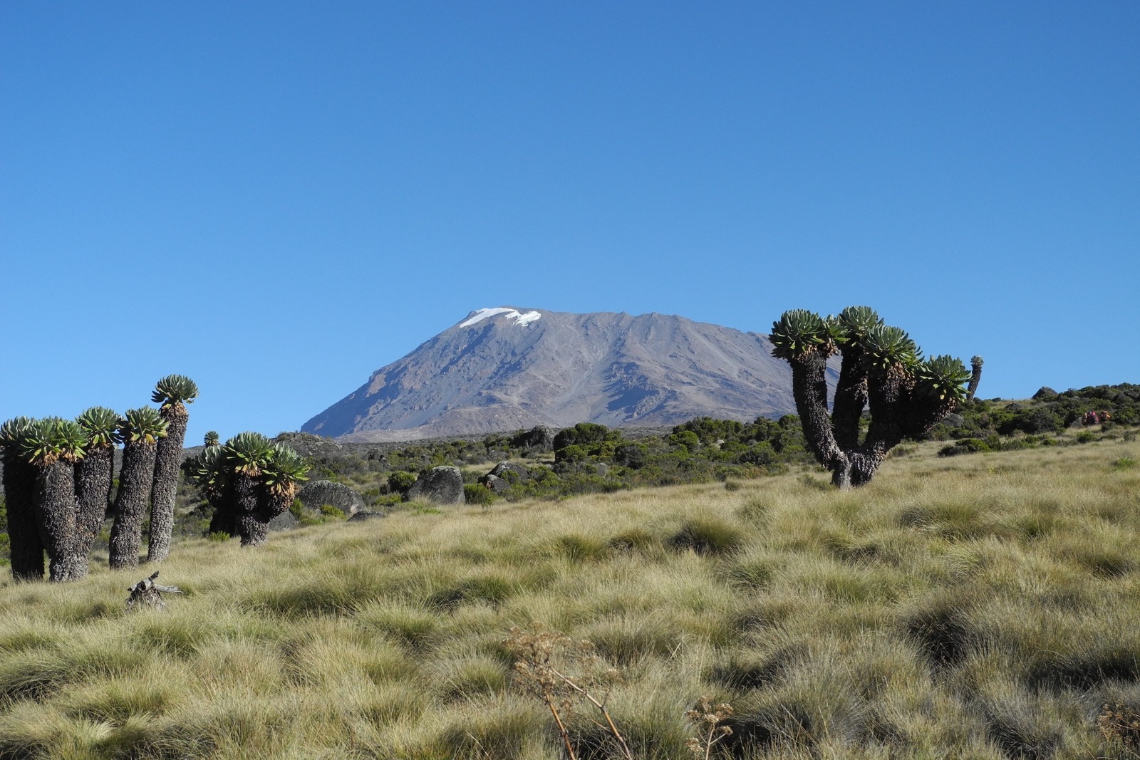 10 Nights Northern Circuit Kilimanjaro Trek