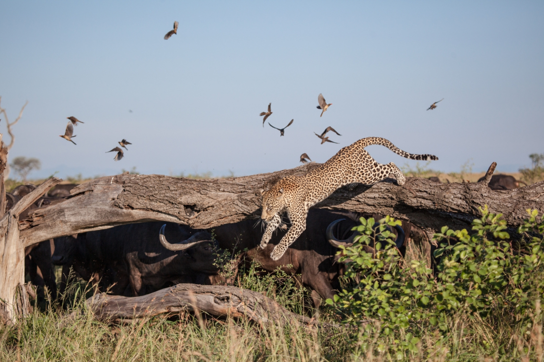 8-Day Tanzania Adventure