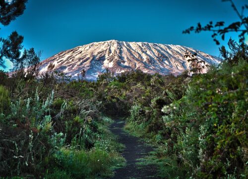 8-Night Machame Route Kilimanjaro Trek