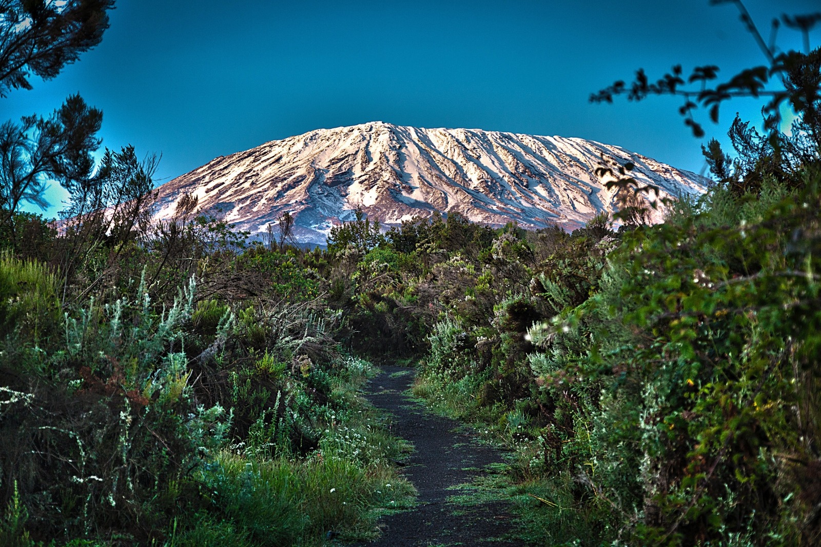 8-Night Machame Route Kilimanjaro Trek