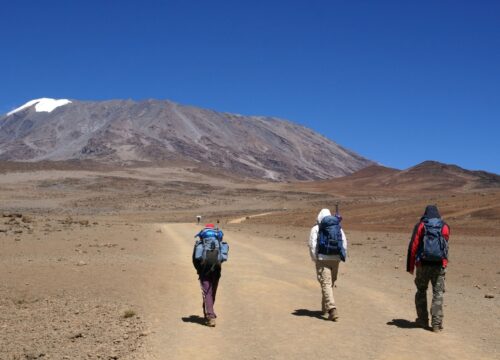 9 Nights Lemosho Route Kilimanjaro Trek