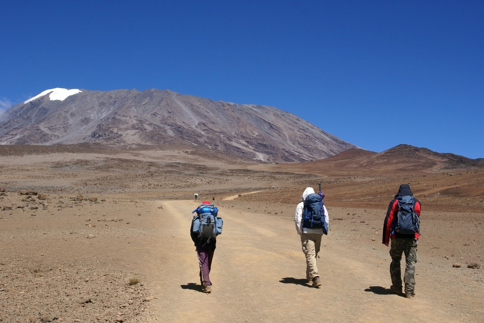 9 Nights Lemosho Route Kilimanjaro Trek