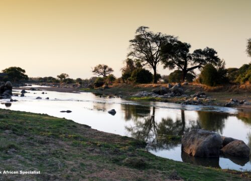 7-Day Private Safari Adventure:  Experience the Wonders of Mikumi and Ruaha